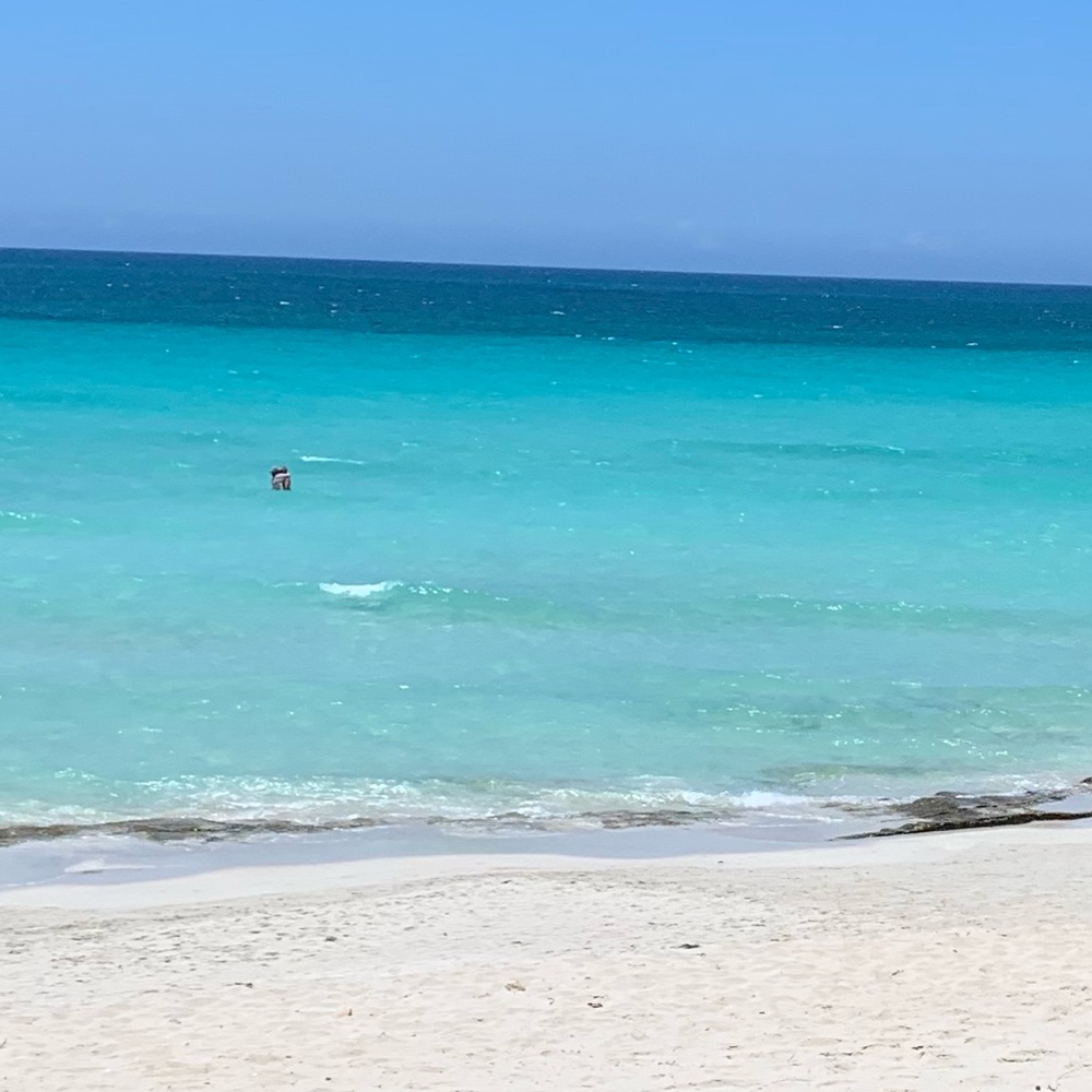 Meet your Posher, Aby